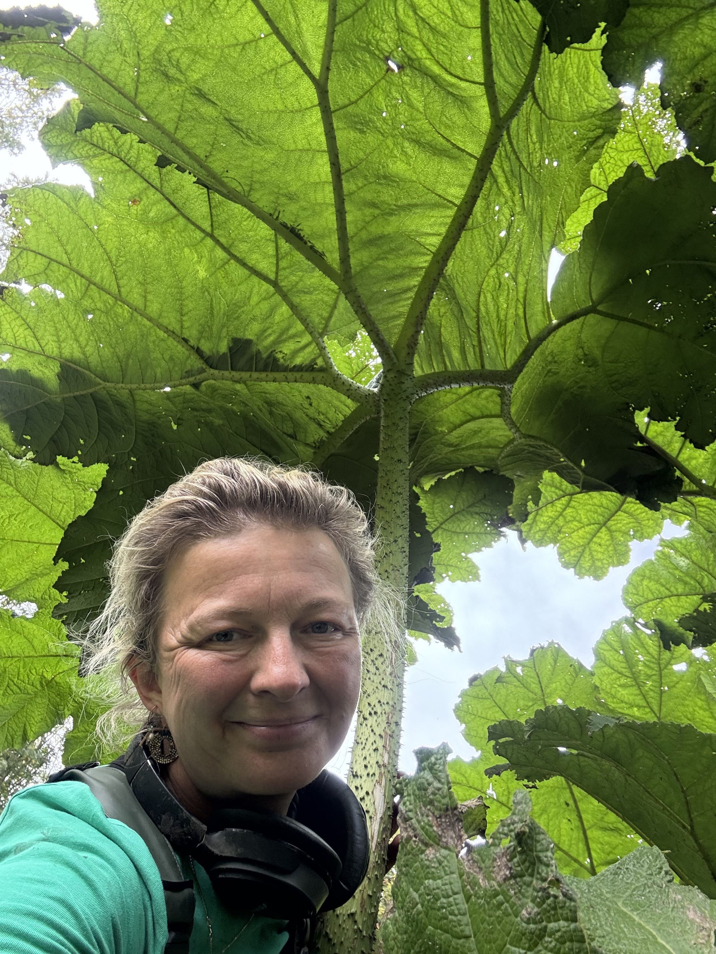 I Don’t Need Silence: Finding Calm in a Sensory Garden in Inverness, Scottish Highlands