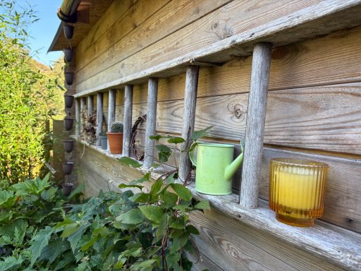 Rustic ladder
