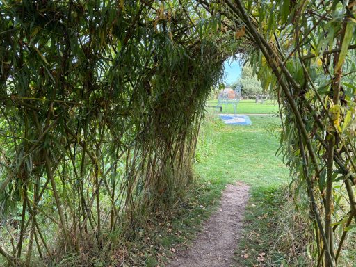Willow structure