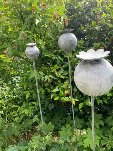 Iron poppy 
